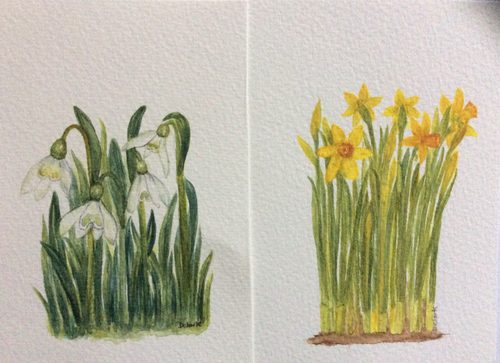 Dorothy. Spring flowers for greeting cards, watercolour.